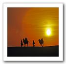 Photography exhibition